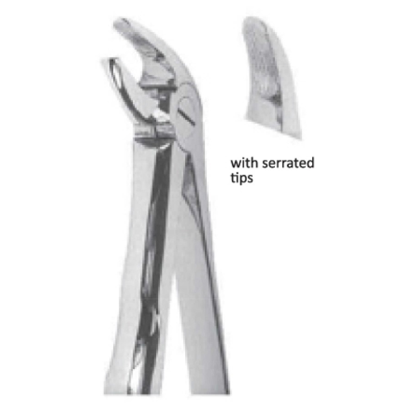 EXTRACTING FORCEPS With Anatomicall